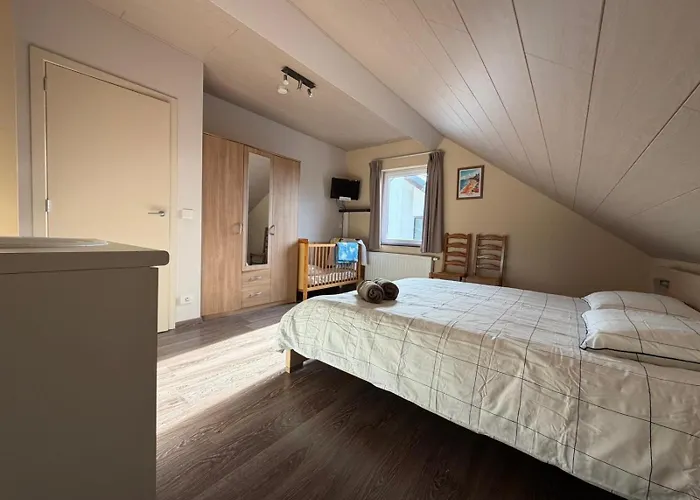 Vakantiehuis Comfortable In - 5 Bedrooms, 3 Bathrooms, Sauna Herbeumont